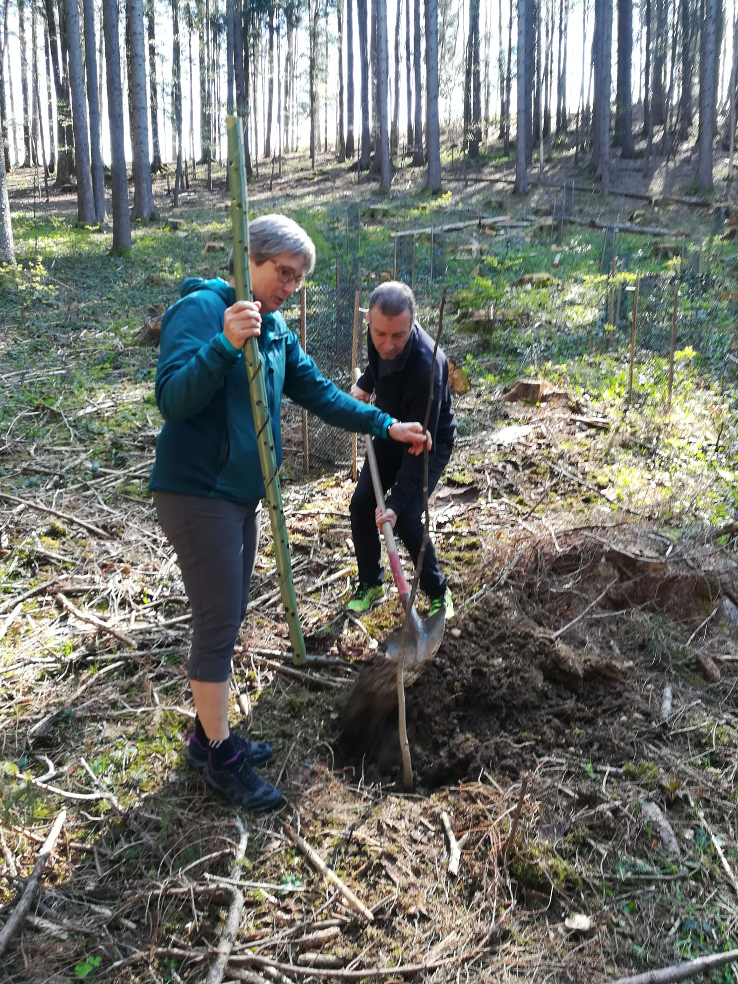 Kirchenvorsteherschaft pflanzt einen Baum